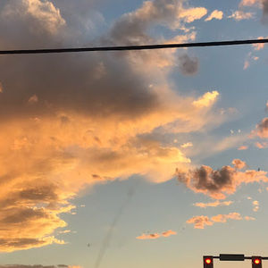 Meet your Posher, Liz